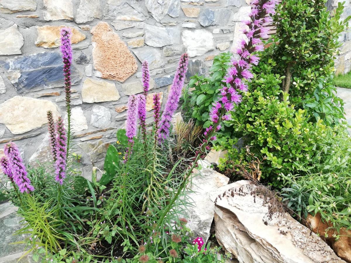 Olympus Country House Karia  Exterior photo